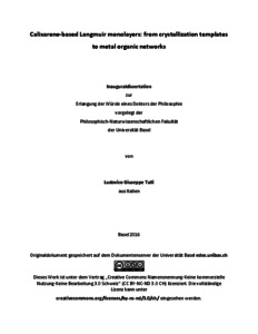 Calixarene dissertation